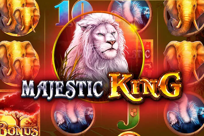 Overview of Shinywilds Online Casino featuring games, bonuses, and special features.