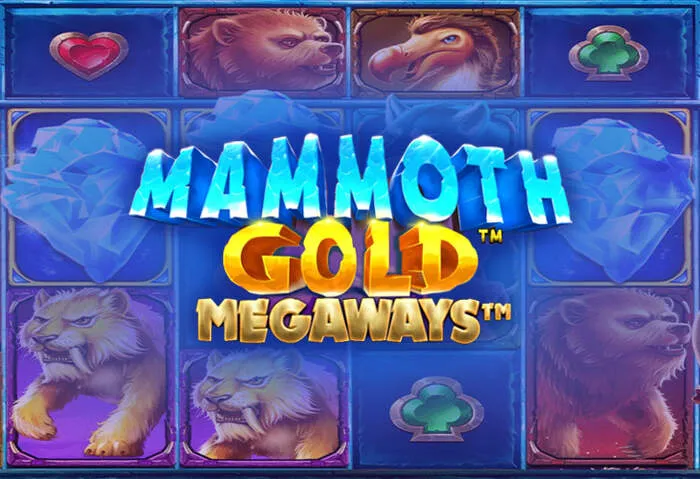 Dein Shinywilds Casino Promo-Code für Extras.
