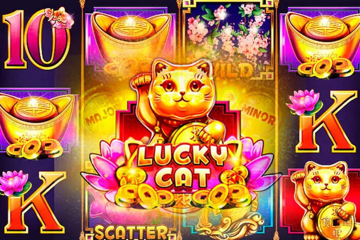 Fast Shinywilds Casino Login access.