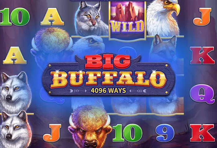 Understand Shinywilds Casino Wagering Requirements for No Deposit Offers.