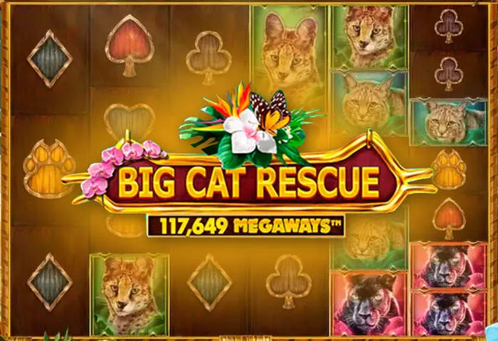 Offre exclusive de bonus sans dépôt au Casino Shiny Wilds pour les nouveaux joueurs.